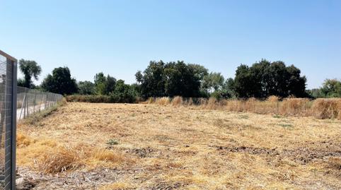 Photo 4 of Residential for sale in Calle del Camino del Río, 105, Villarrubia, Córdoba