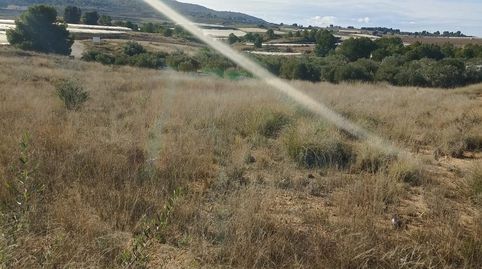 Terreno en Venta en Aledo, immagine 3