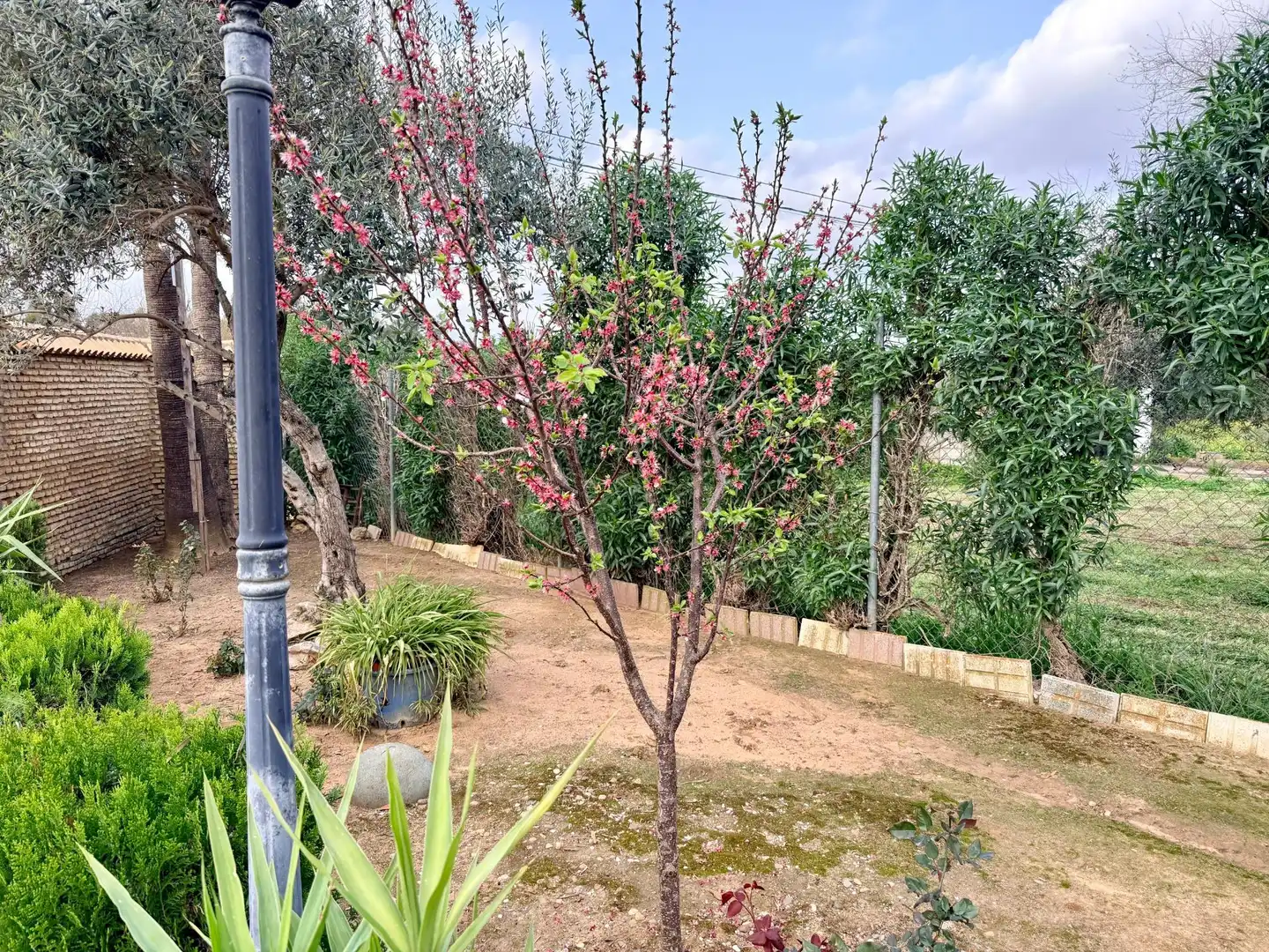 Jardín de Casa o chalet en venta en Carmona con Aire acondicionado, Jardín privado y Trastero