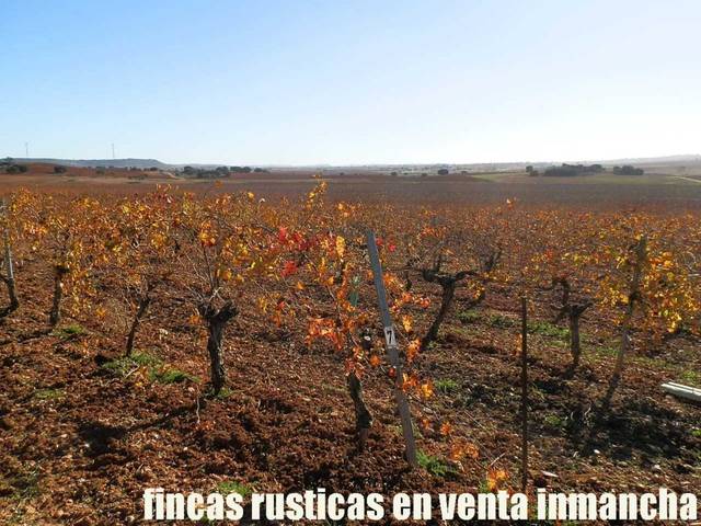 Terreno en Venta en Montalbo