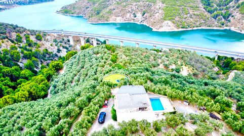 Finca con vivienda legalizada, piscina y 1.000 olivos en Lanjarón, imagen 3