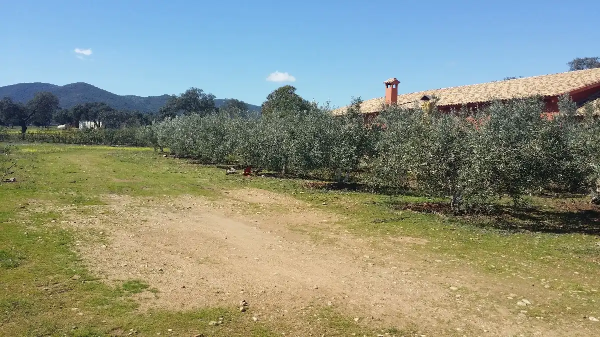 Terreno residenziale in vendita a Peñarroya-Pueblonuevo, imagen 22