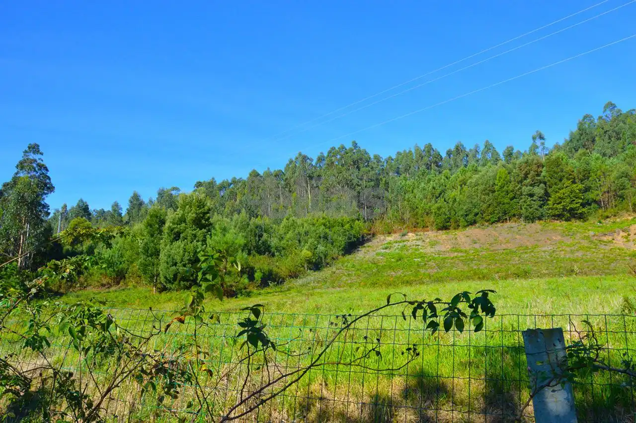 Houses for sale in Cabana de Bergantiños  with Heating and Private garden