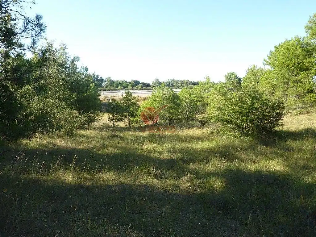 Terreni e lotti in vendita a JABAGA, CTRA. MADRID, KM 164 (CABREJAS), imagen 3