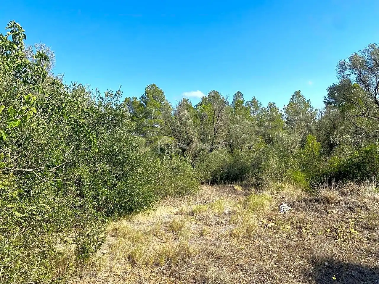 Terreno en venta en Planes, Rasquera