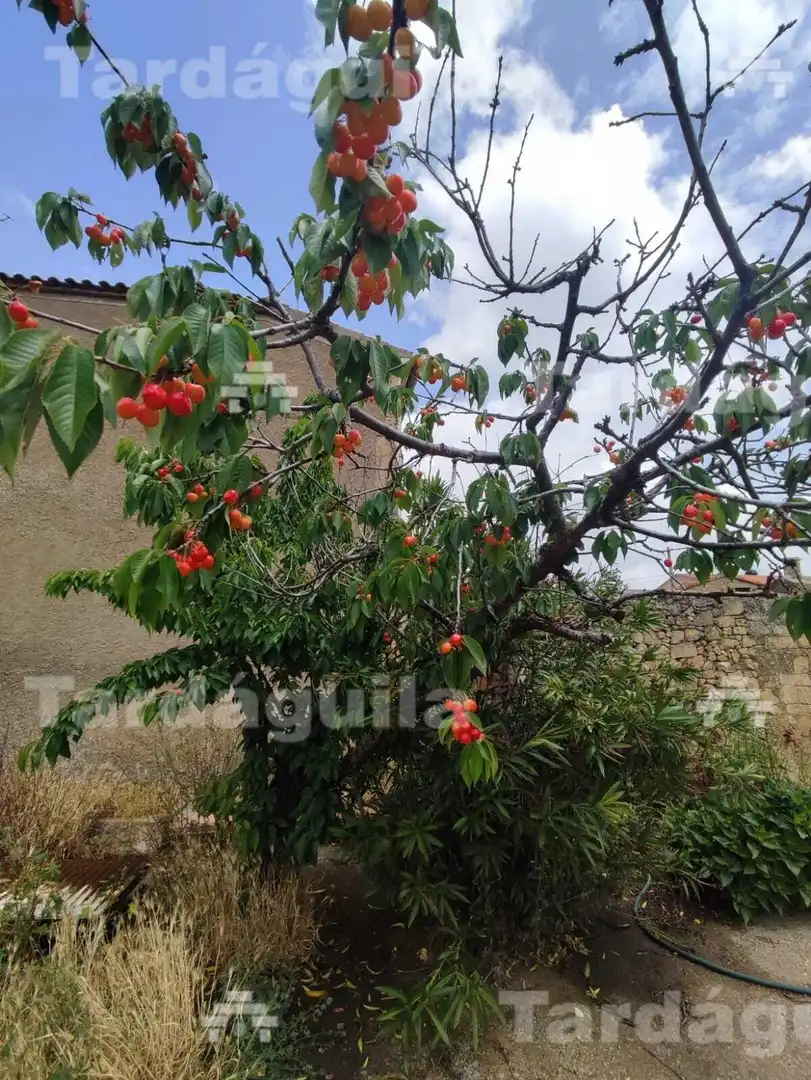 Garten von Country house zum Verkauf in San Muñoz mit Heizung