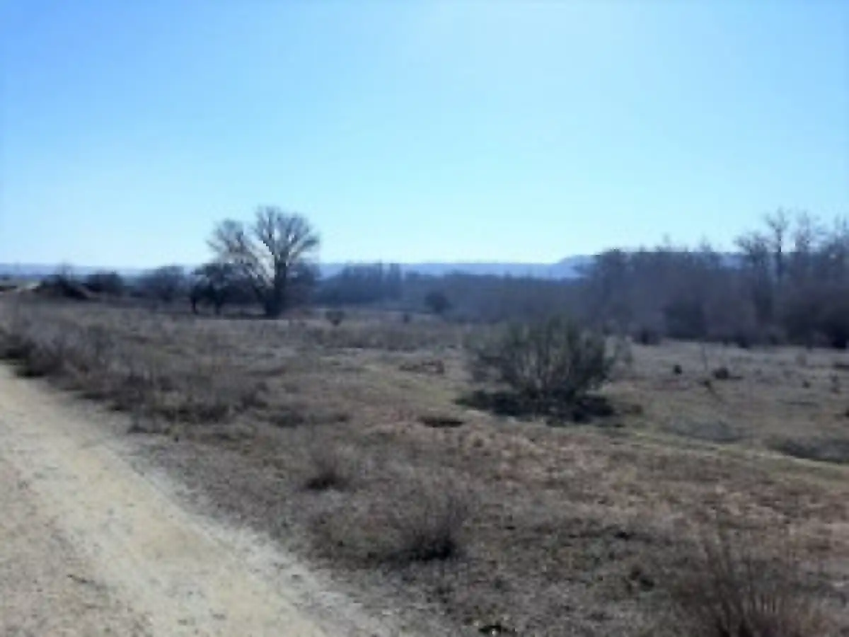 Terreno rustico in vendita a Tudela de Duero, imagen 4