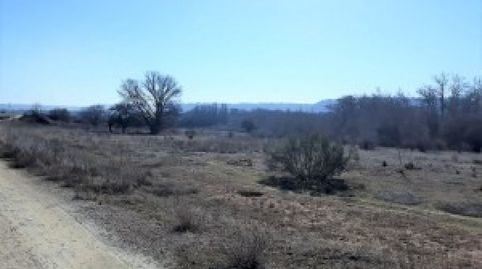 Parcela Rustica en Tudela de Duero, imagen 4