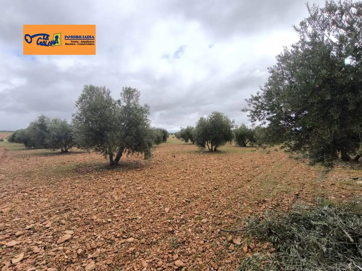 Chalet en venta en Valdepeñas, imagen 27