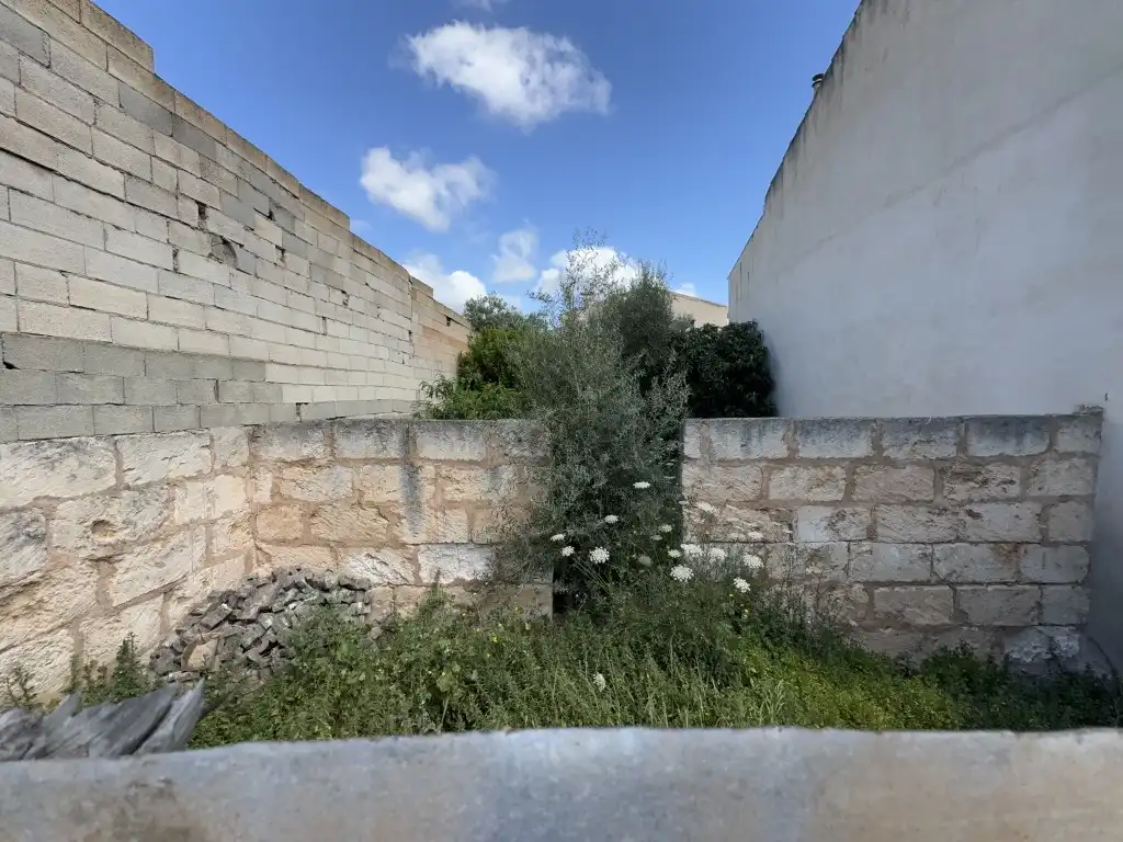 Terreno rustico in vendita a Sa Pobla, imagen 8