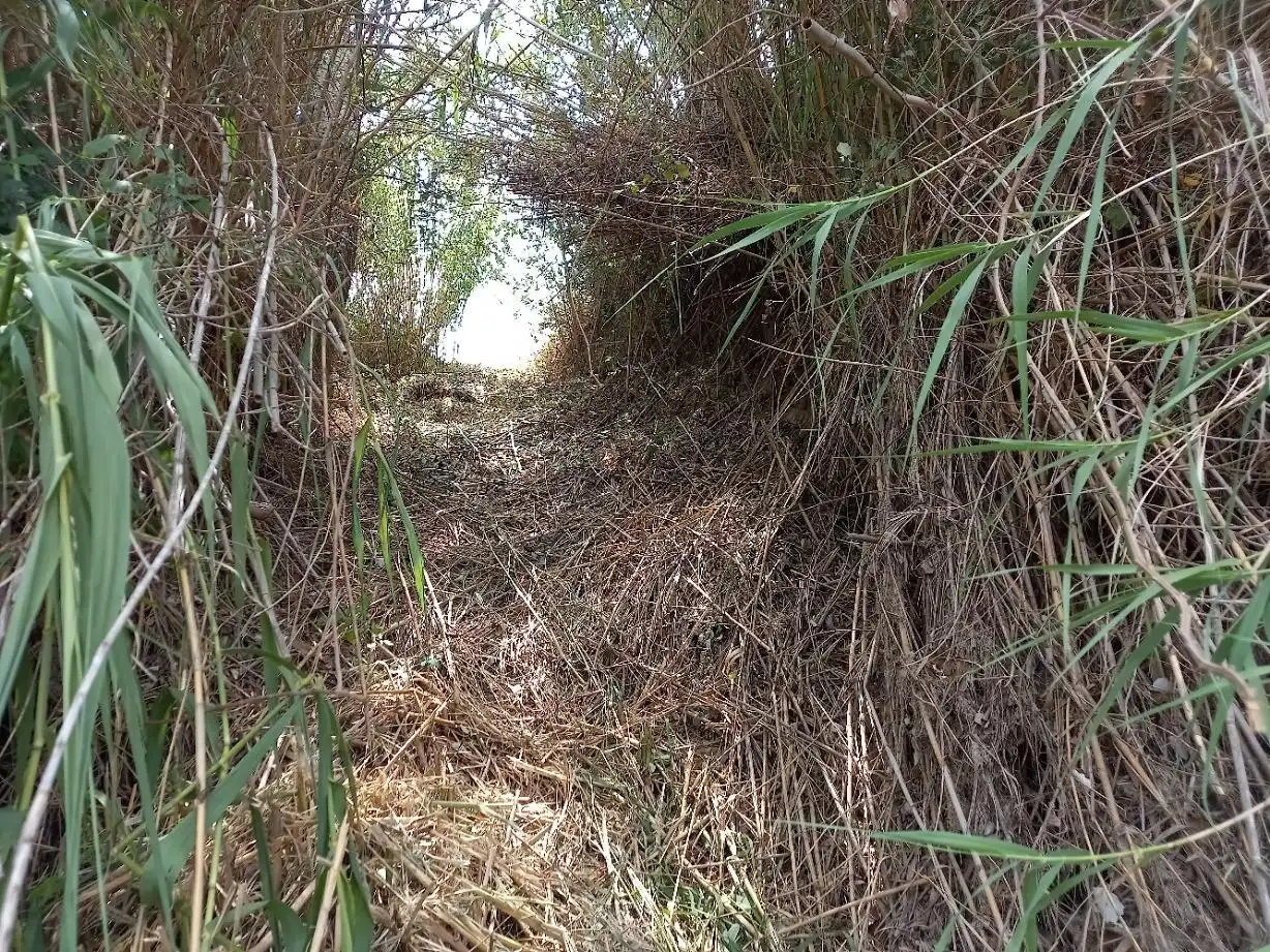Terrenys i solars en venda a Miravet, imagen 23