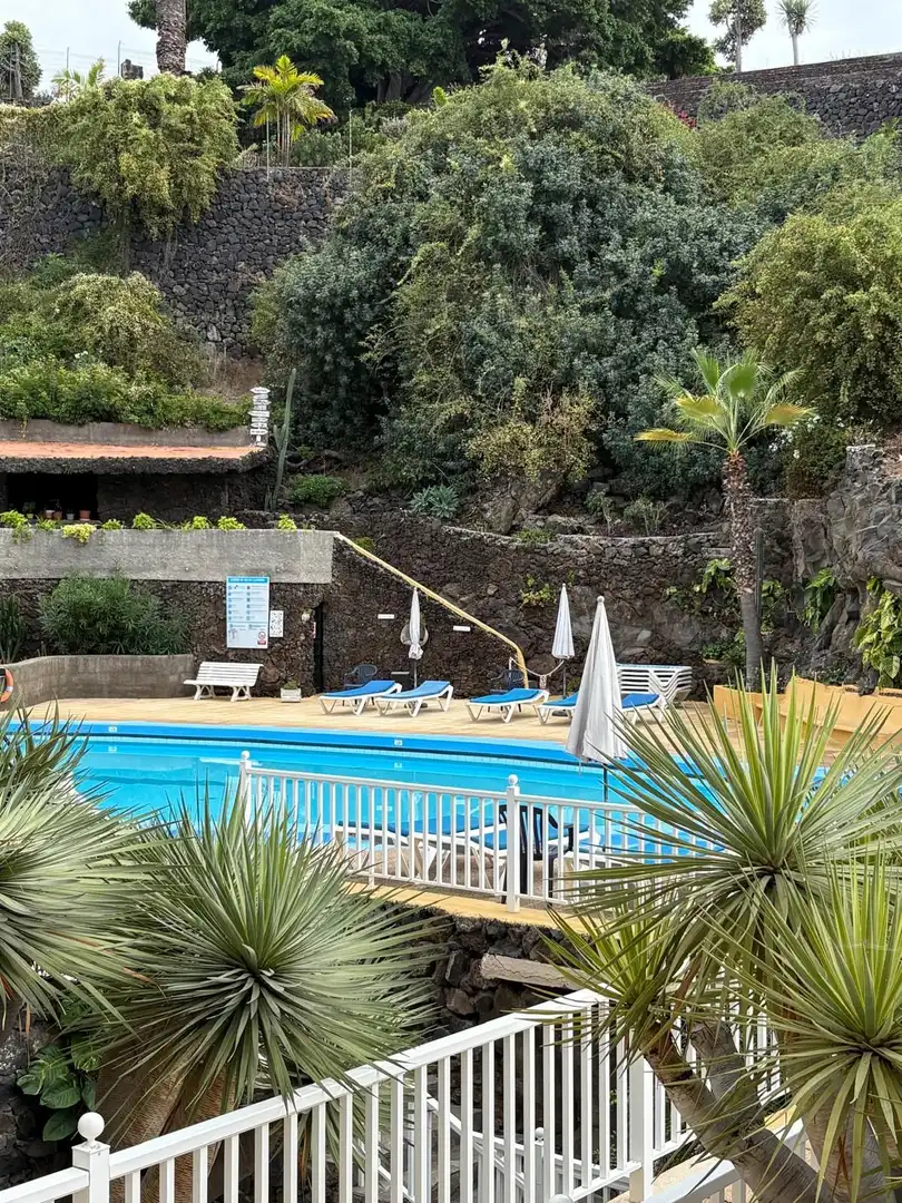Apartment with pool to rent in Botanico, imagen 17