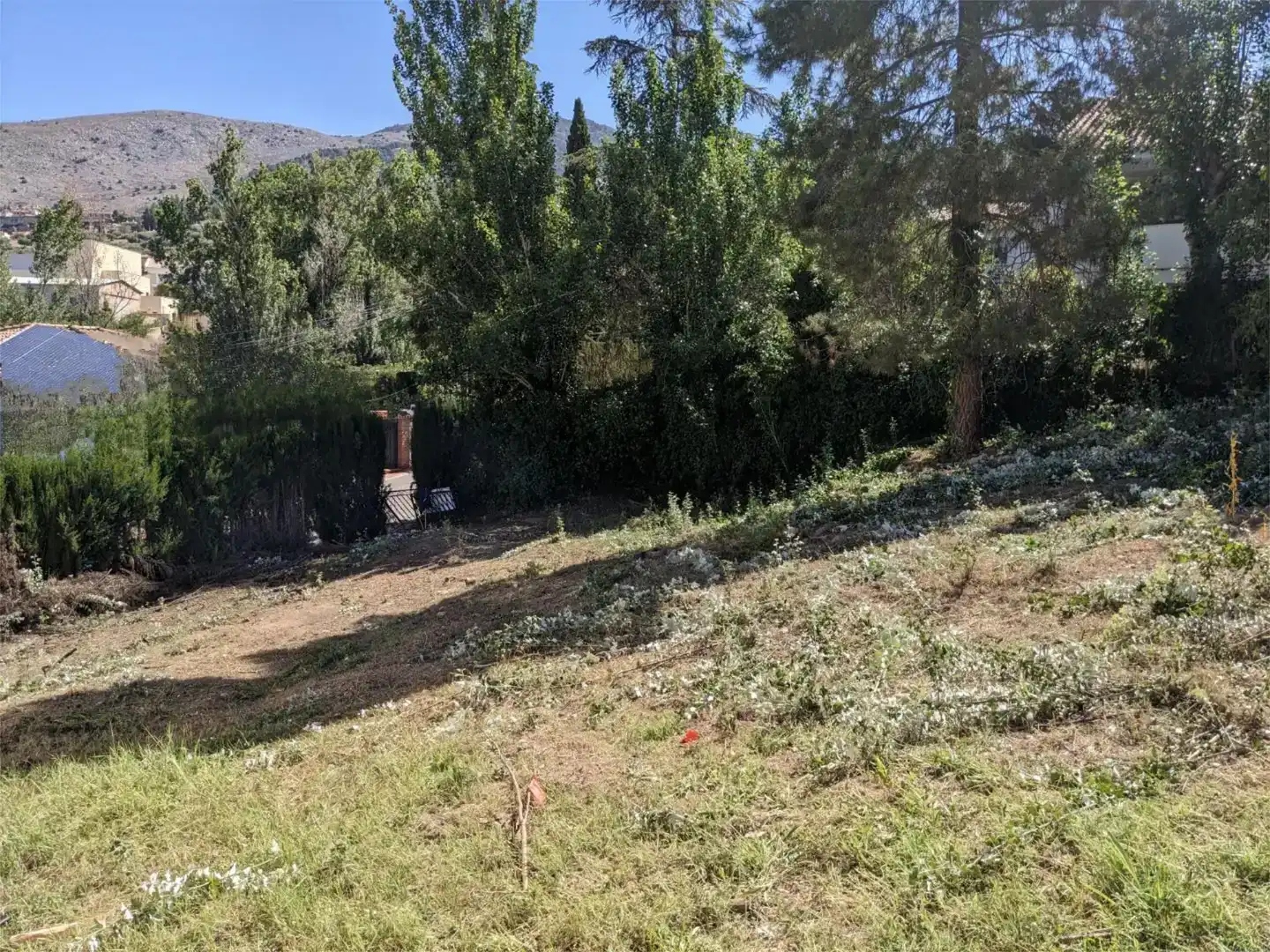 Finca rústica en venta en Alfacar