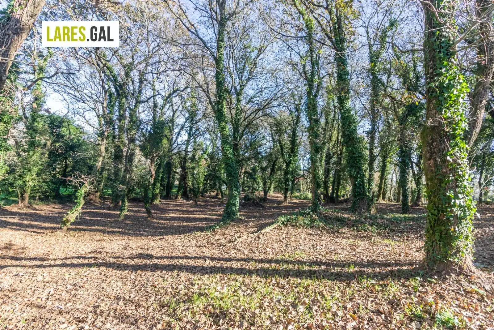 Lands and plots for sale in Rúa Ximeu, imagen 4
