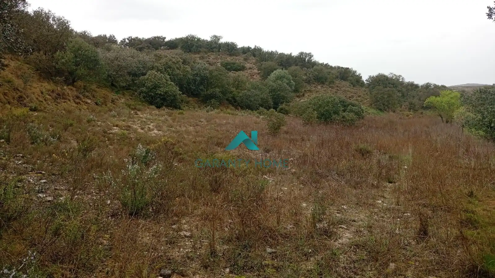 Terrenos y solares en venta en Castelló de Farfanya