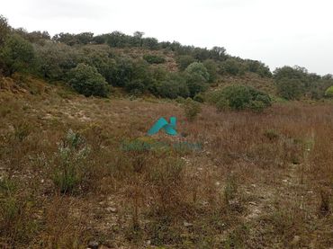 Terreni e lotti in vendita a Castelló de Farfanya