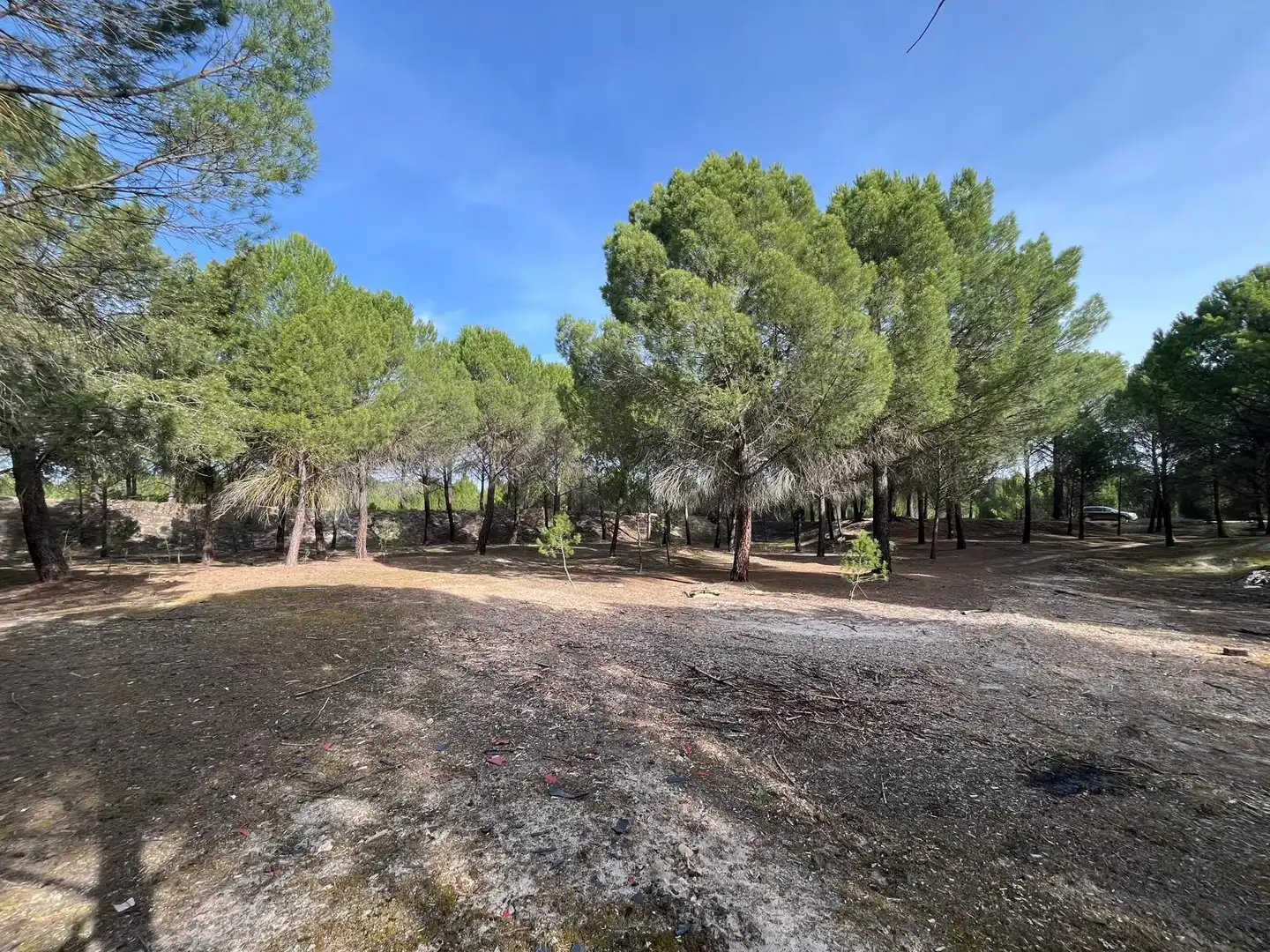 Terreno en venta en Tudela de Duero