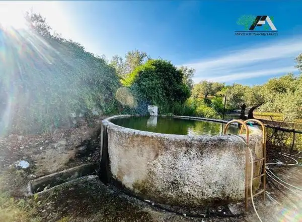 Terreni e lotti in vendita a Baeza, imagen 13
