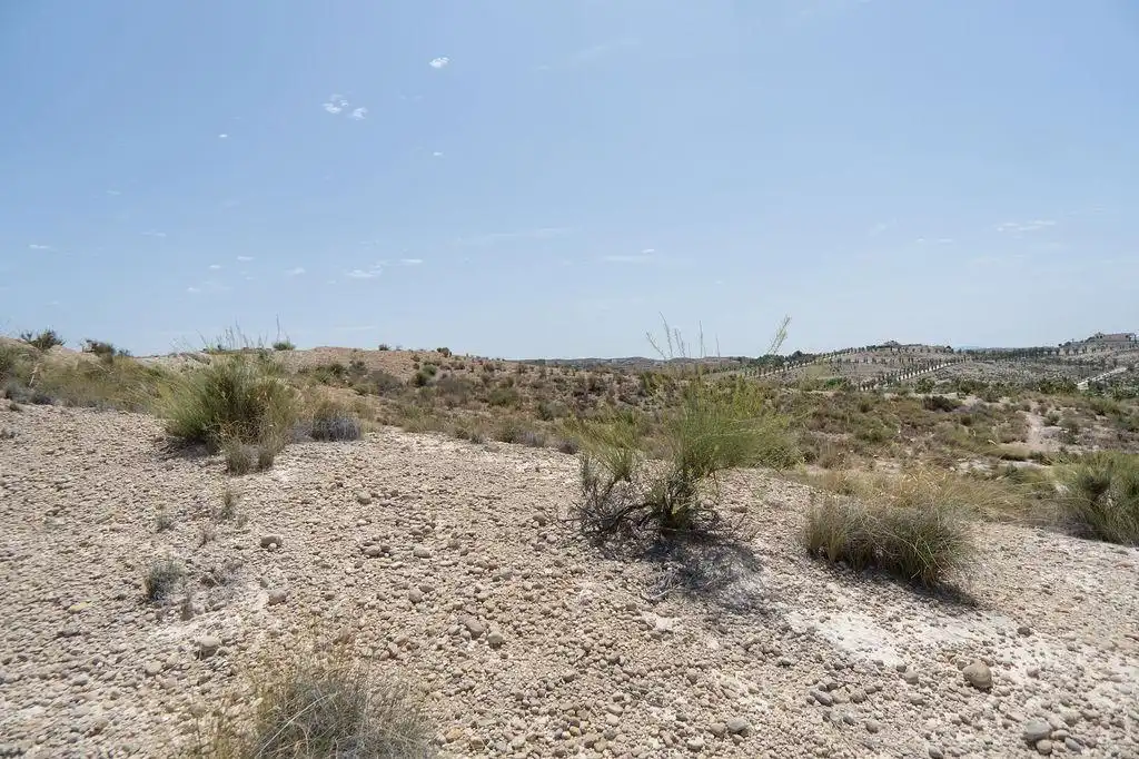 Terreny residencial en venda a Altorreal - El Chorrico, imagen 6