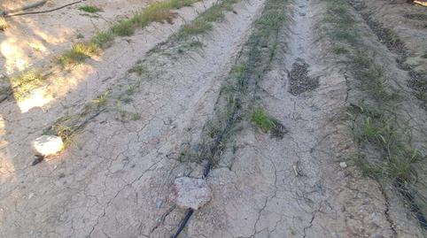 Foto 5 de Casa o chalet en venta en Escucha, Lorca