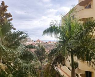 Vista exterior de Apartament en venda en Adeje amb Aire condicionat, Terrassa i Piscina