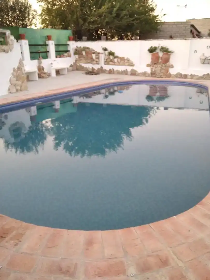 Piscina de Casa o xalet en venda en El Coronil, Sevilla