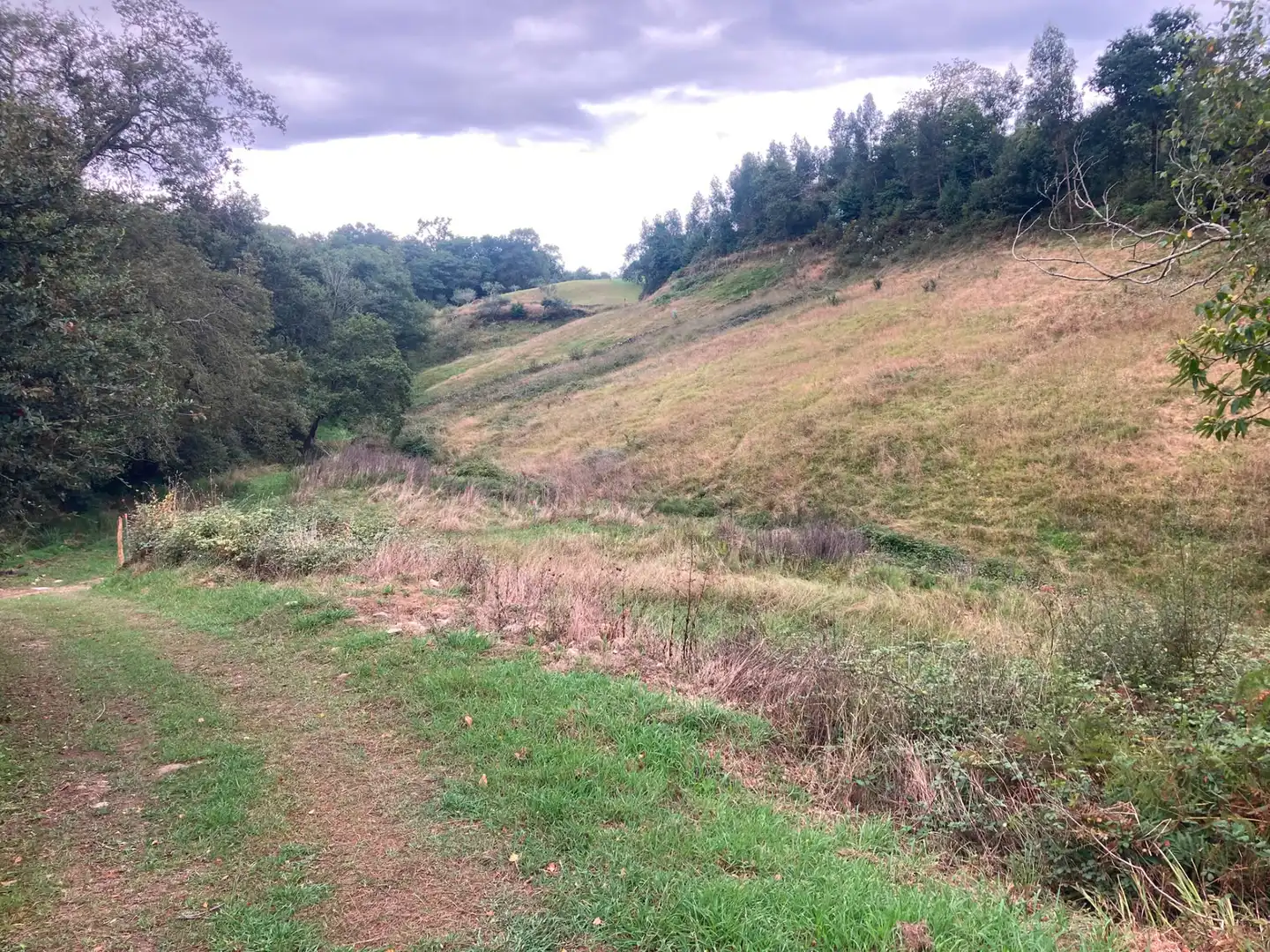Terreno en venta en Villaviciosa