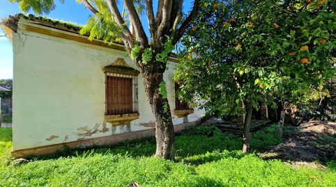 Foto 2 de Casa o chalet en venta en Valencina de la Concepción, Sevilla
