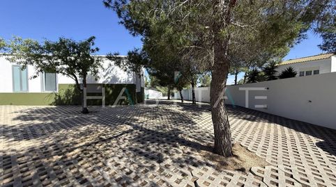 Foto 2 de Finca rústica en venta en El Pinar de Campoverde, Pilar de la Horadada
