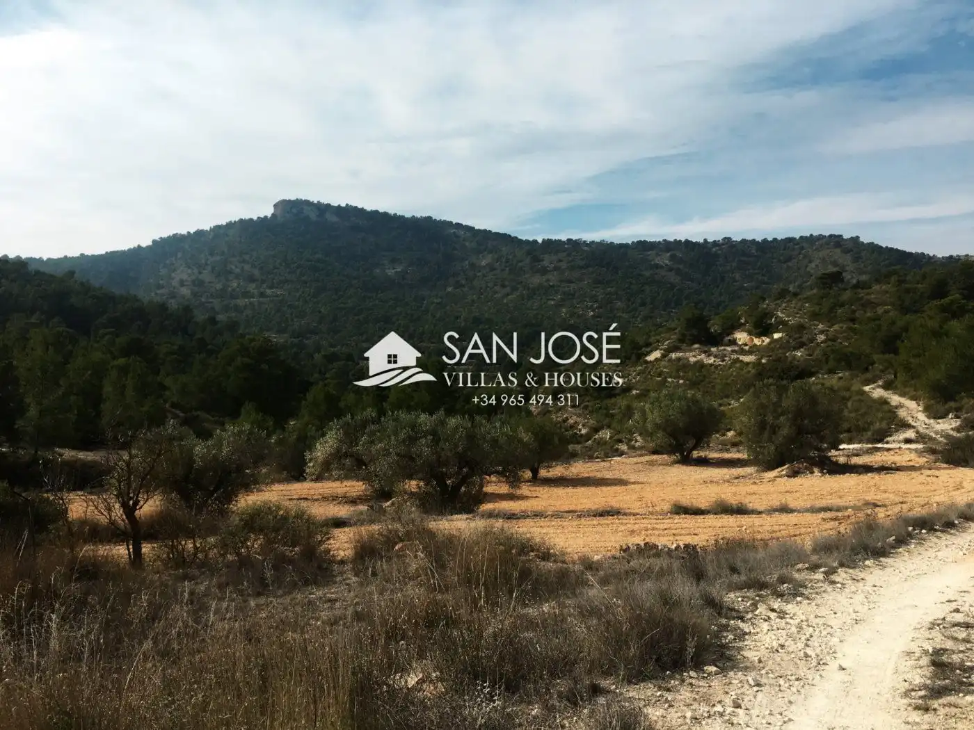 Casa o xalet en venda en Monóvar  / Monòver