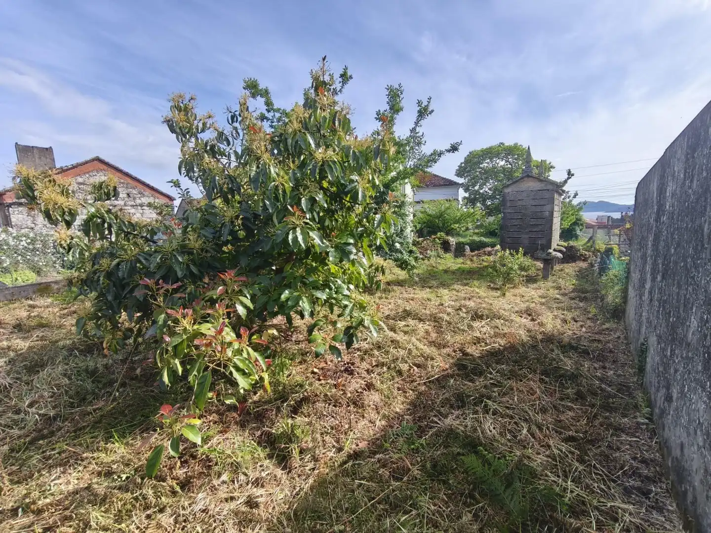 Finca rústica en venta en Muros