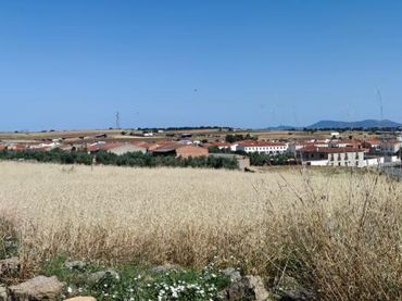 Terrenys i solars en venda a Arriba