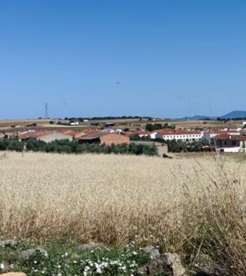 Foto 2 von Residential zum Verkauf in Arriba, Dos Torres, Córdoba