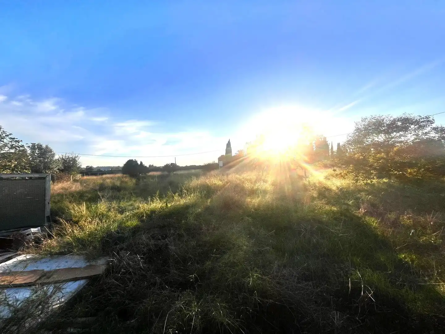 Terreno rustico in vendita a Carcaixent, imagen 2
