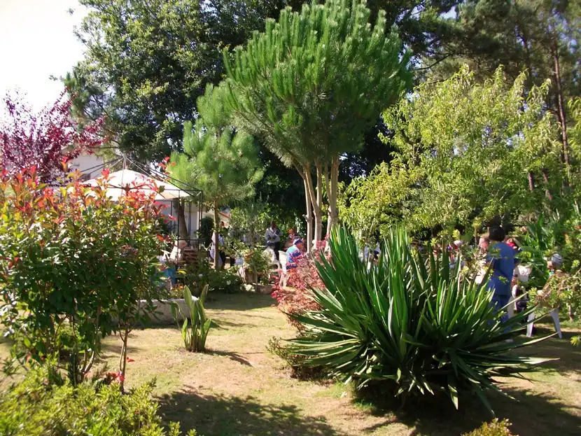 Jardí de Edifici en venda en Outes