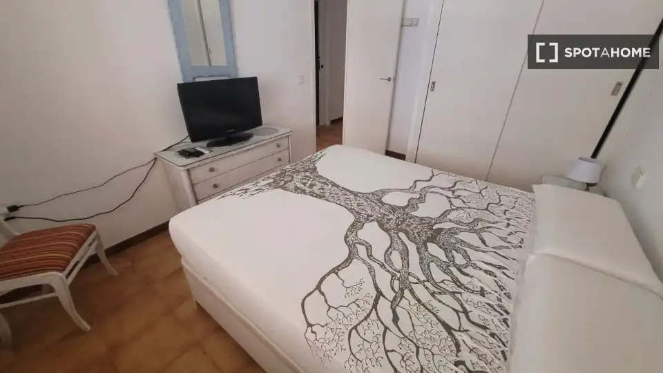 Room in Zona Pueblo
