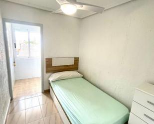 Apartament per a compartir a El Palmar