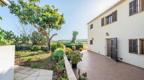 Photo 4 of House or chalet to rent in Ariany, Illes Balears