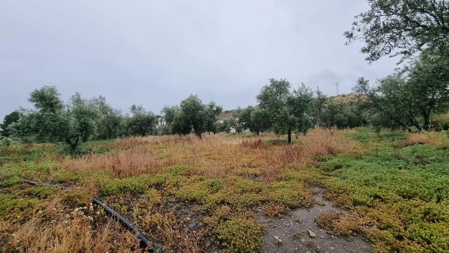 Country house with garden for sale in PARAJE PAGO DE OSCAYAR, imagen 32