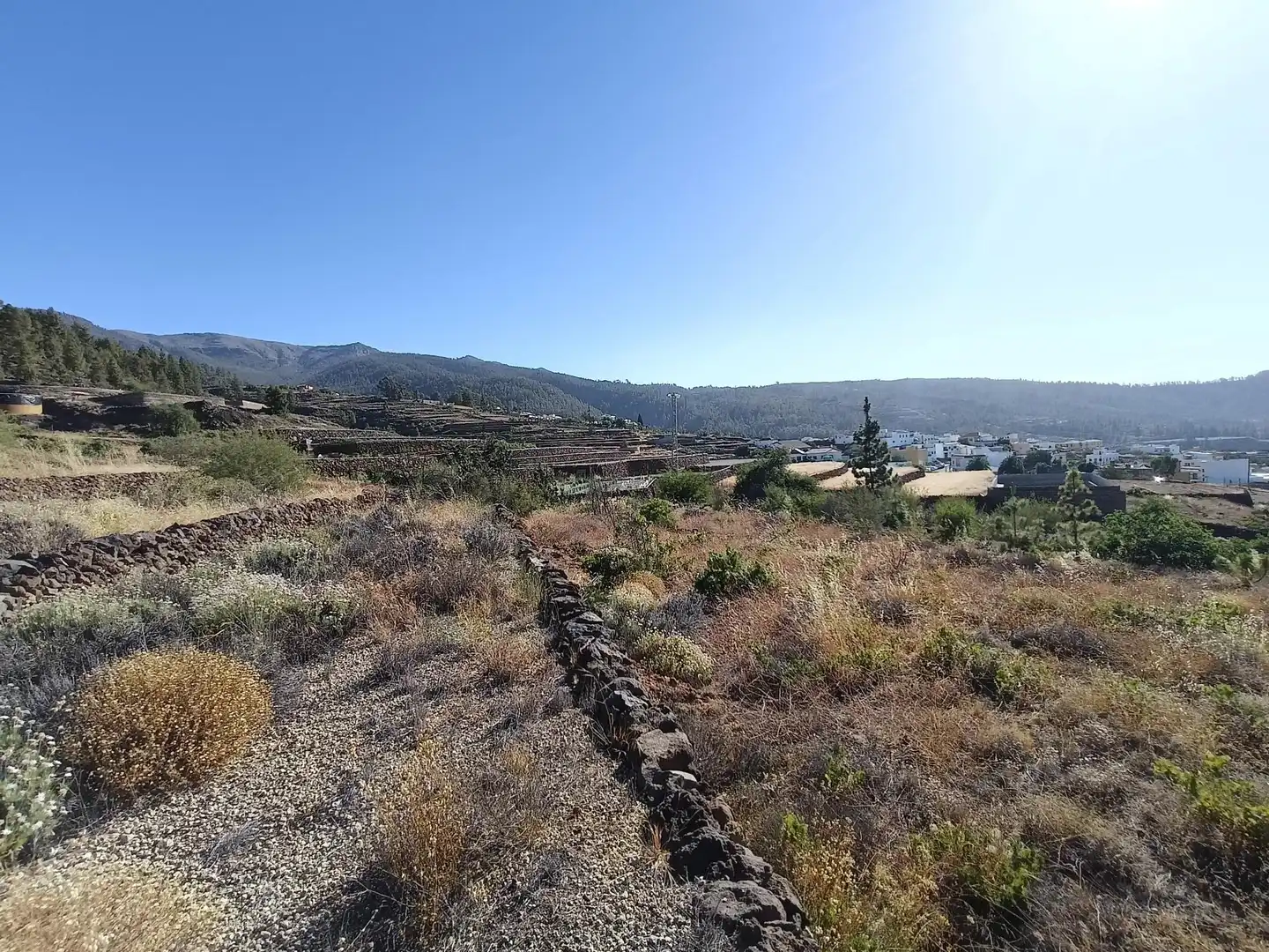 Terreno rústico en venta en M\A LIRIOS. VILAFLOR DE CHASNA [S.C. TENERIFE], imagen 6