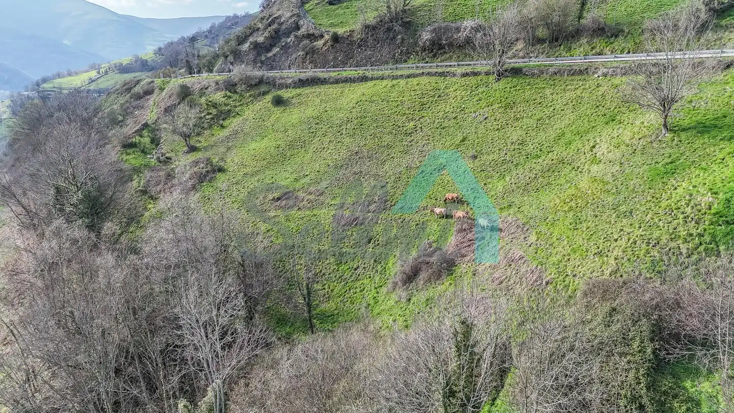 Casa adosada en venda en Cangas del Narcea amb Calefacció, Jardí privat i Terrassa