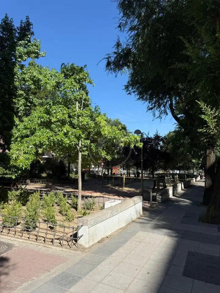 Vista exterior de Planta baja en venta en Madrid con Terraza
