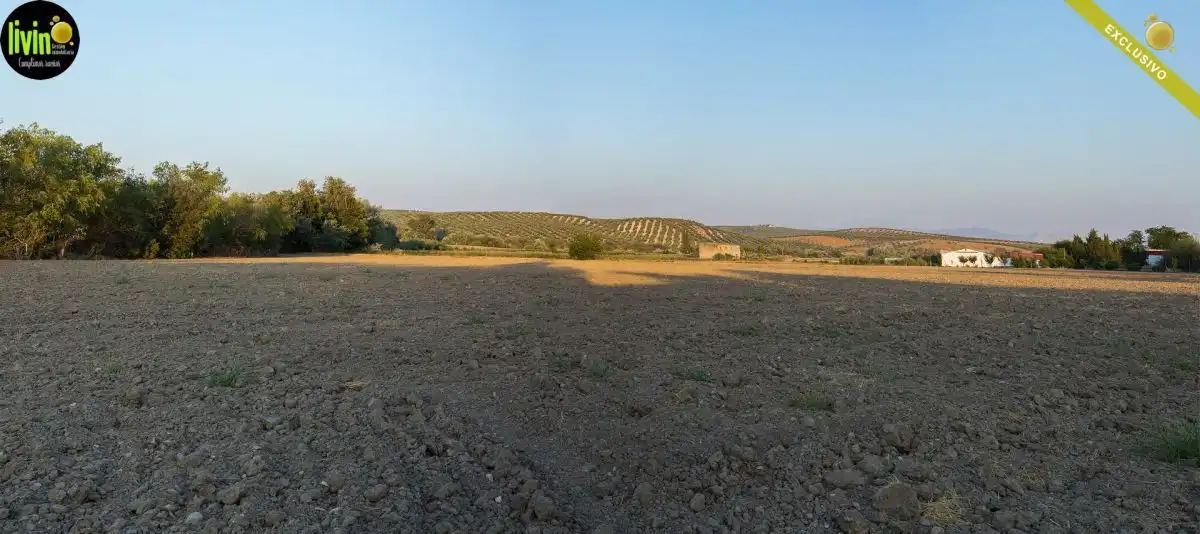 Casa o xalet en venda en Puente Tablas - Puente Nuevo - Cerro Molina