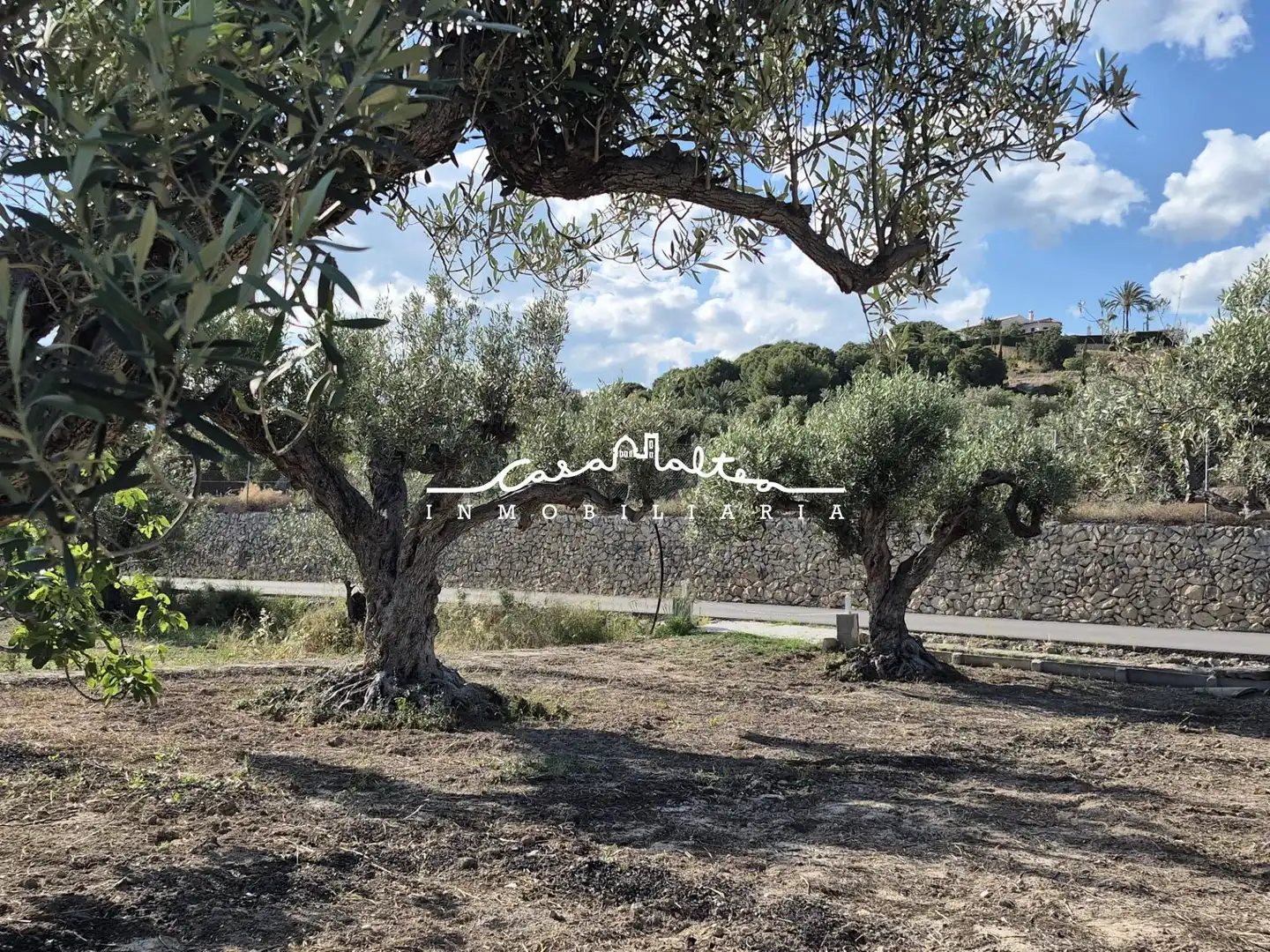 Terreno rustico in vendita a Altea ciudad, imagen 7