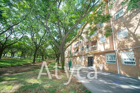 Planta baja de alquiler en Calle del Deporte, 2, Poniente-Norte - Miralbaida - Parque Azahara