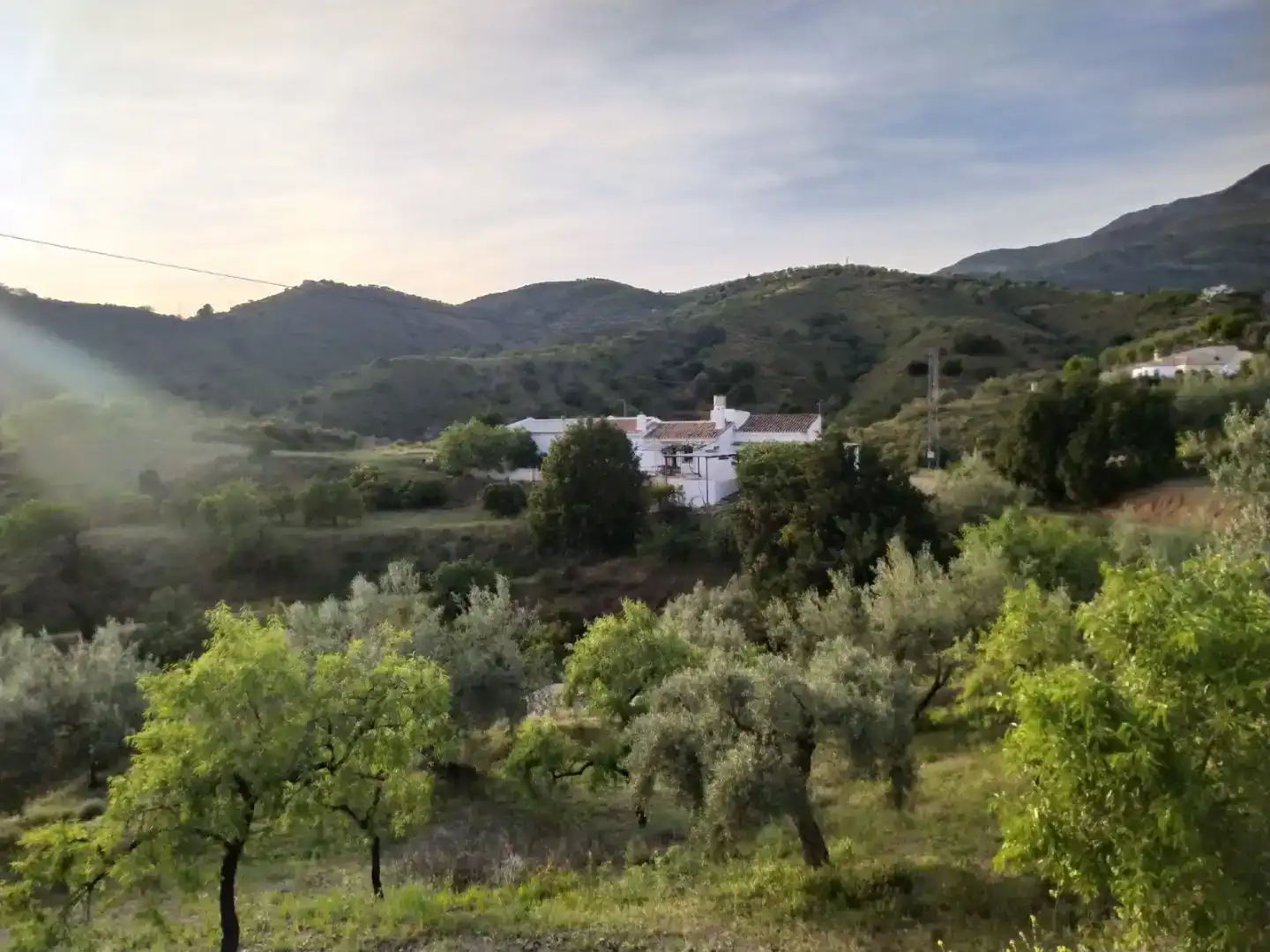 Vista exterior de Finca rústica en venda en Sedella