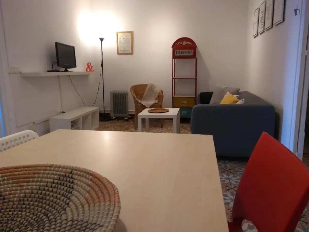 Sala d'estar de Apartament per a compartir en Barcelona amb Moblat, Forn i Rentadora