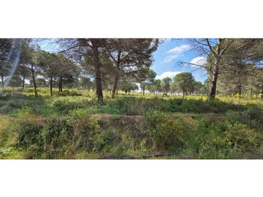 Terreny residencial en venda a Villablanca