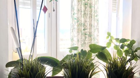 Photo 5 of Flat for sale in El Bajondillo, Torremolinos