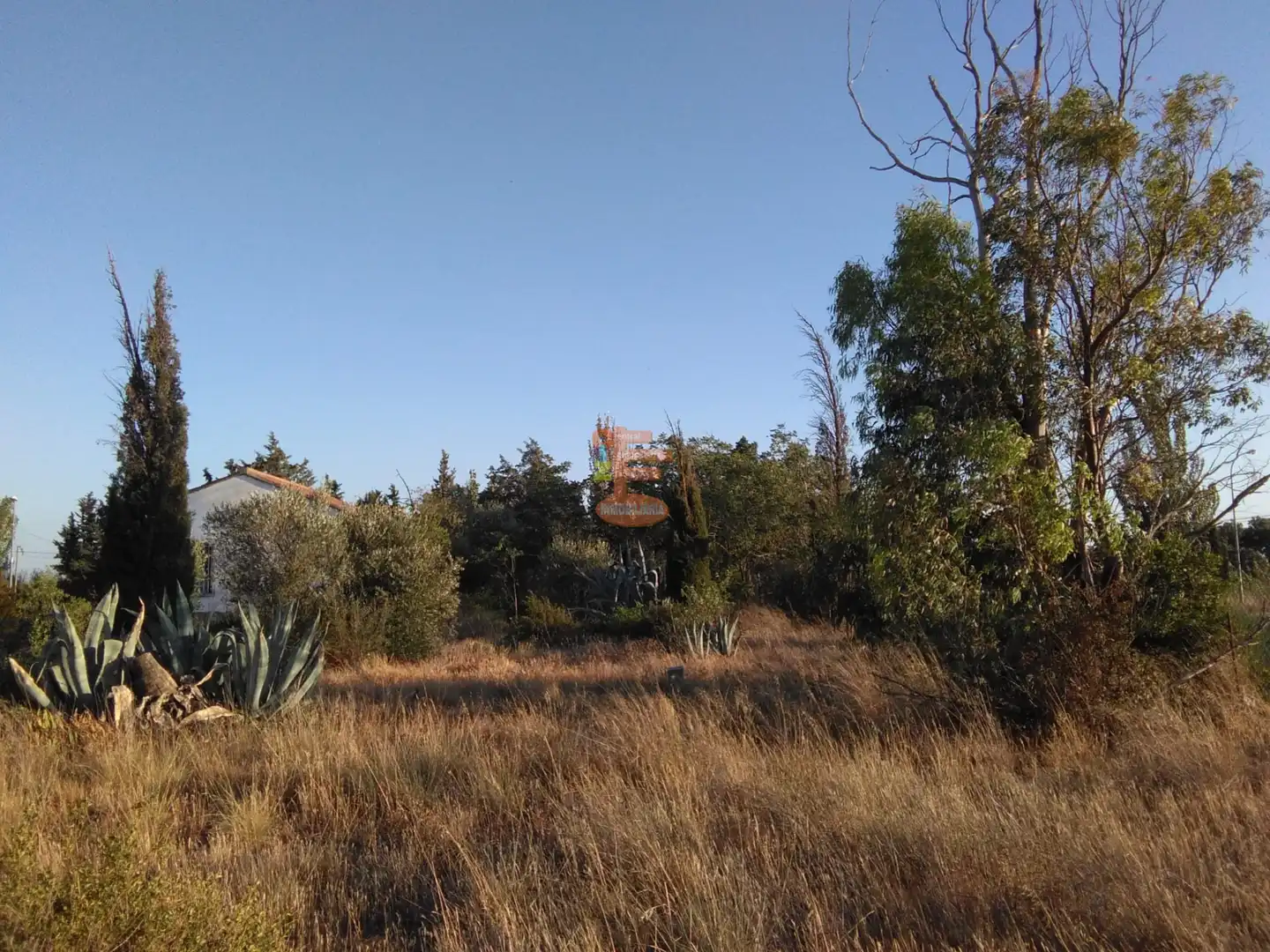 Terreno en venta en Zaragoza